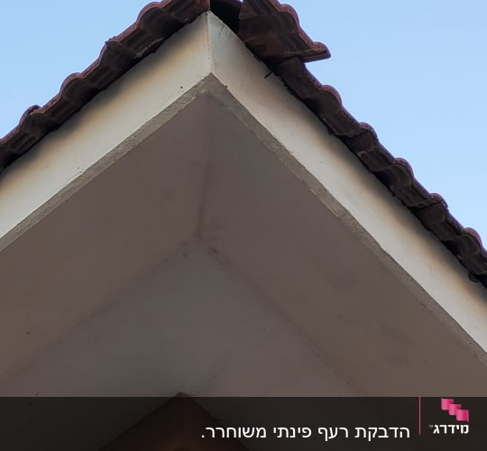גג רעפים חום עם קצה לבן